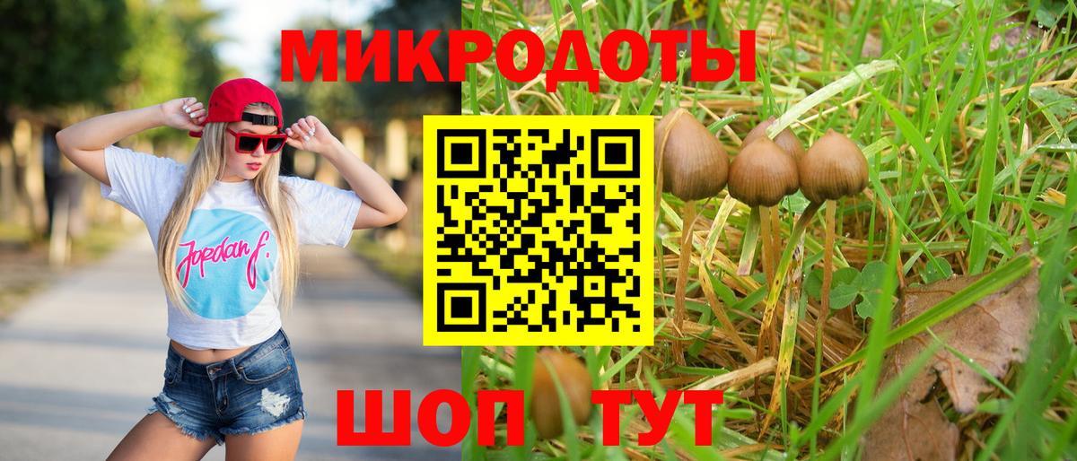 Галлюциногенные грибы GOLDEN TEACHER Каменск-Шахтинский