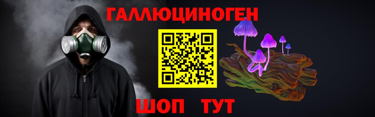 Псилоцибиновые грибы Psilocybe  Вход с VPN  Каменск-Шахтинский 